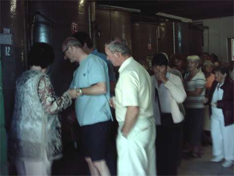 Enoturismo: assaggio dei vini in cantina